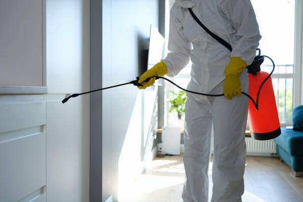 Best Emergency Pest Control  in USA